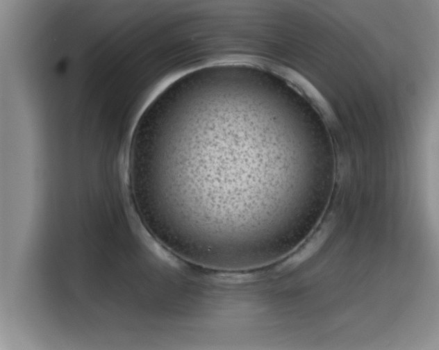 X0000115370860200911101245
