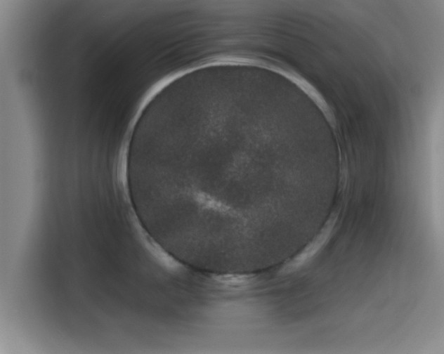 X0000115370862200911101245