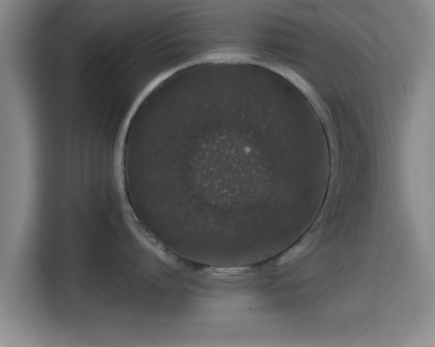 X0000115370864200911101245