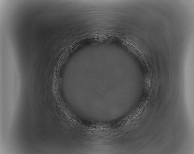 X0000115370865200911101244