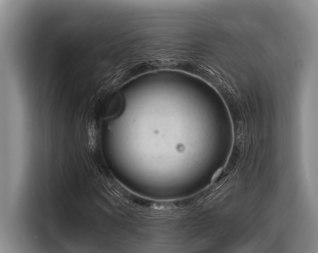 X0000115370866200911101244