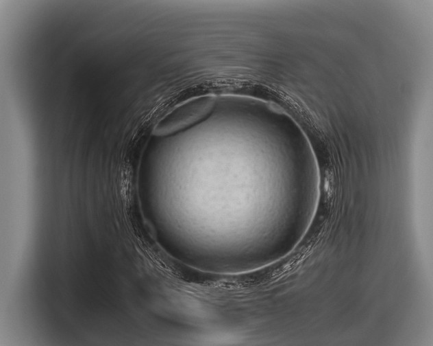 X0000115370867200911101244