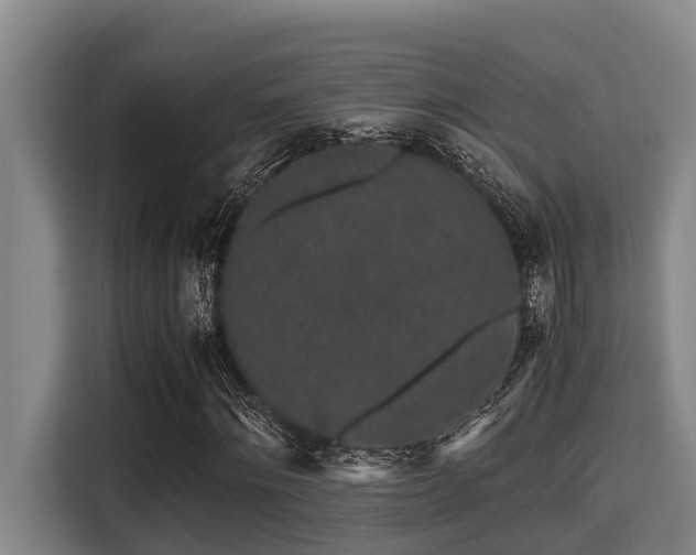 X0000115370868200911101244