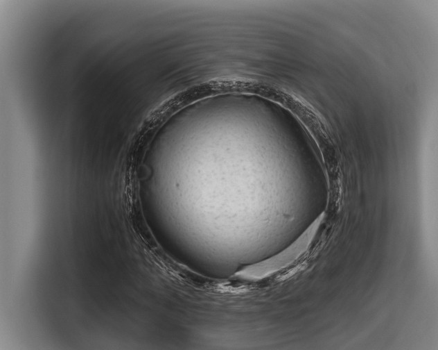X0000115370870200911101244