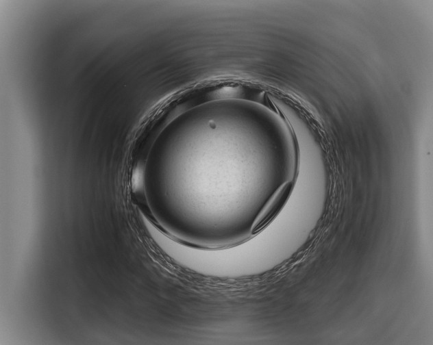 X0000115370872200911101244