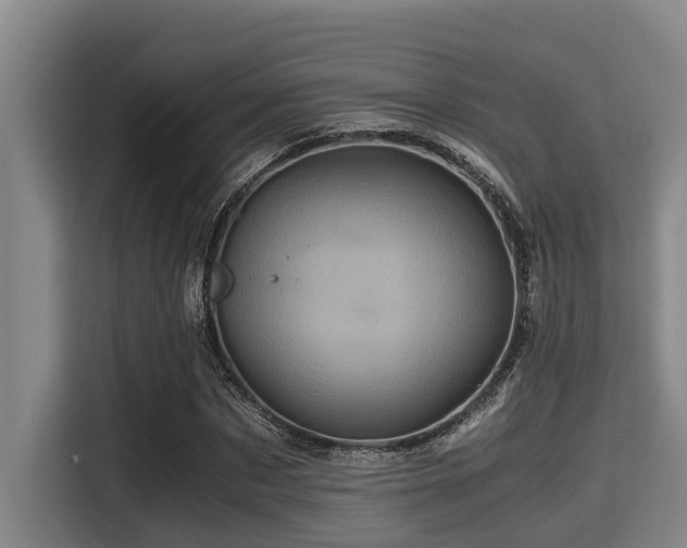 X0000115370873200911101244