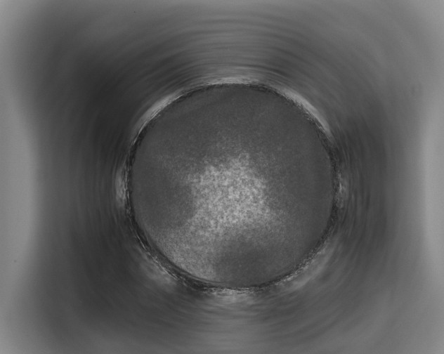 X0000115370874200911101244