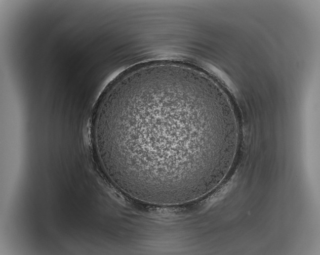 X0000115370875200911101244