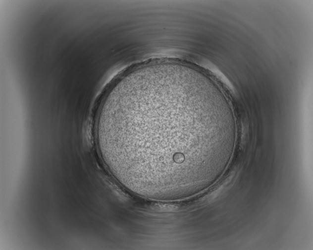 X0000115370878200911101244