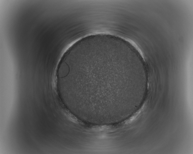 X0000115370879200911101244