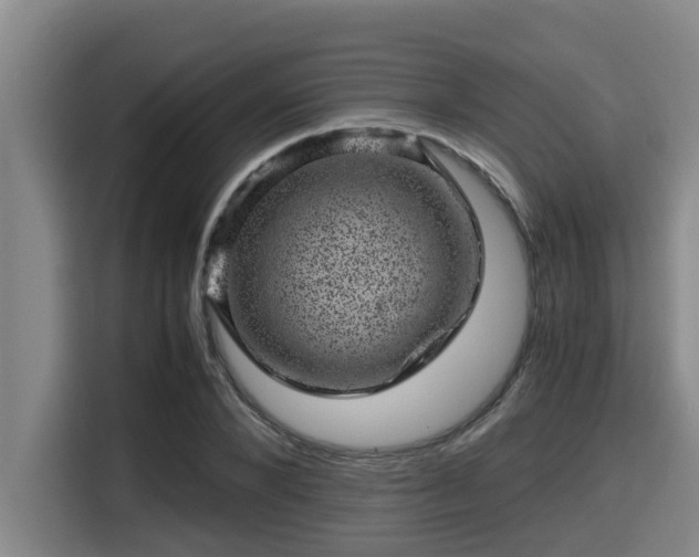 X0000115370880200911101244