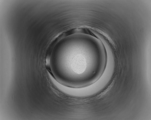 X0000115370881200911101244