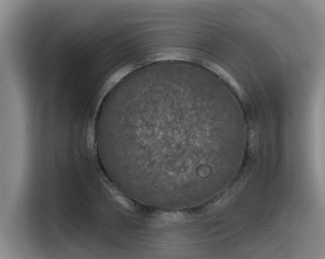 X0000115370882200911101244