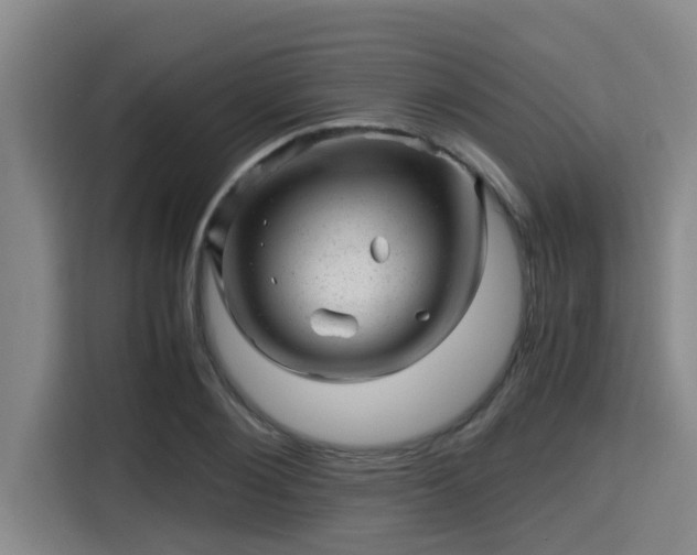 X0000115370884200911101244
