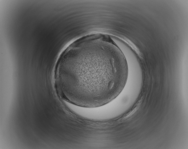 X0000115370885200911101244