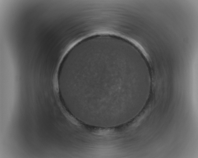 X0000115370887200911101244