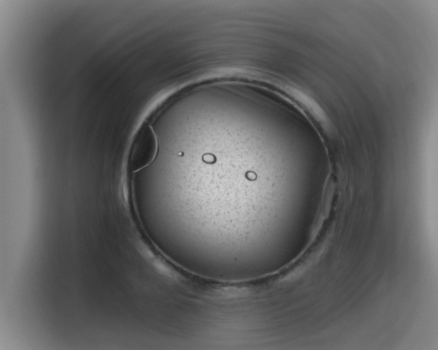 X0000115370888200911101244