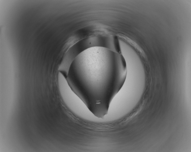 X0000115370889200911101244