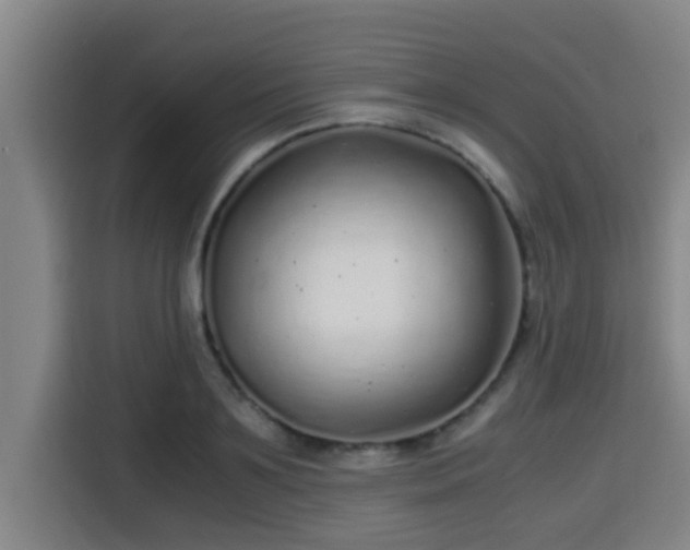 X0000115370891200911101244