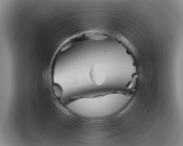 X0000115370892200911101244
