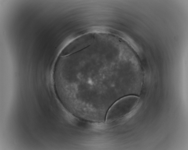 X0000115370893200911101244