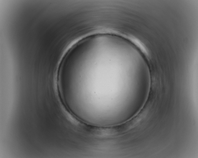 X0000115370895200911101244