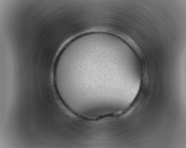 X0000115370896200911101244