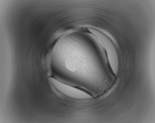 X0000115370897200911101244