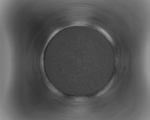 X0000115370899200911101244