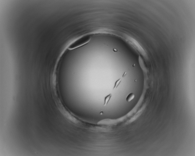 X0000115370900200911101244