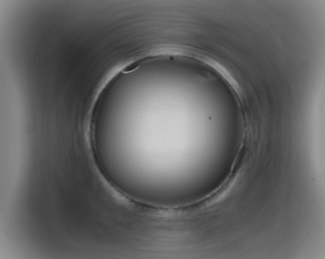 X0000115370901200911101244