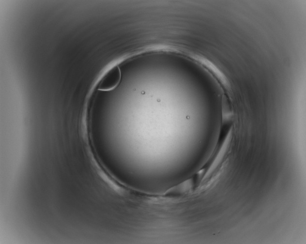 X0000115370902200911101244