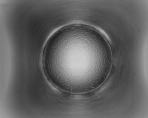 X0000115370903200911101244