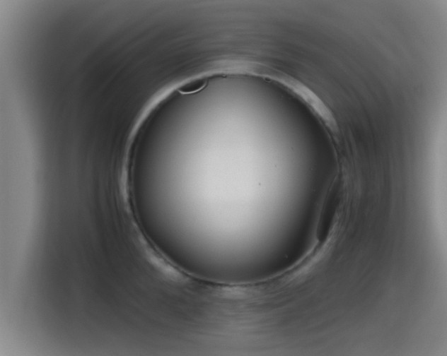 X0000115370904200911101244
