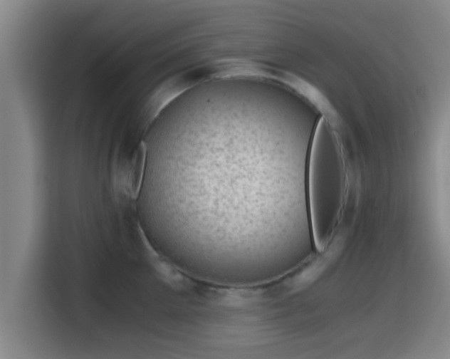 X0000115370905200911101244
