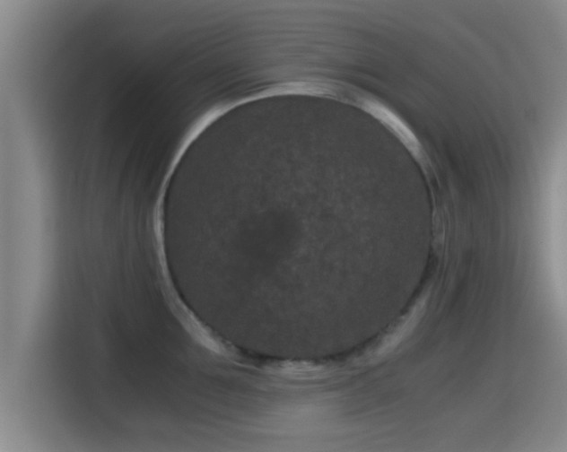 X0000115370907200911101244