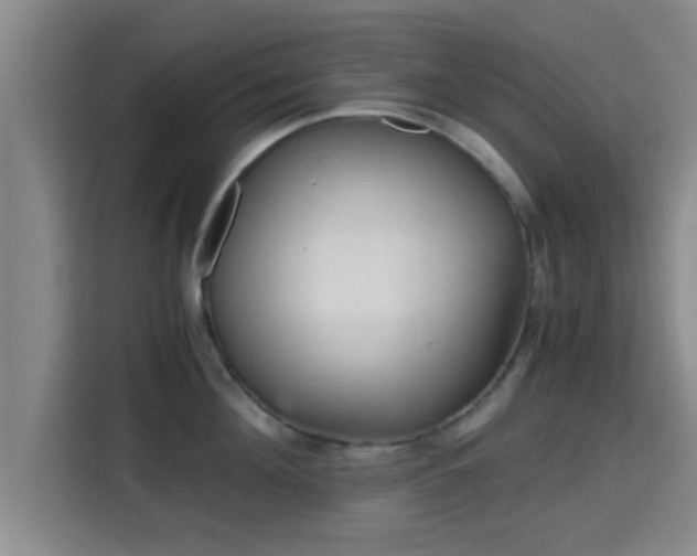 X0000115370908200911101244
