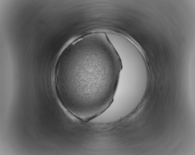X0000115370909200911101244