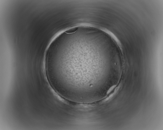 X0000115370910200911101244