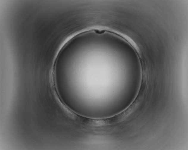 X0000115370911200911101244