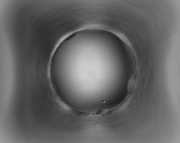 X0000115370912200911101244