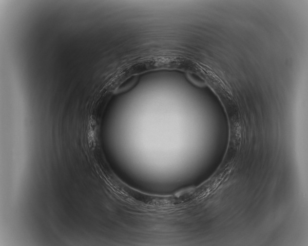 X0000115370914200911101243