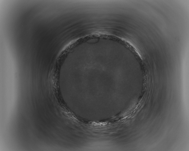X0000115370919200911101243
