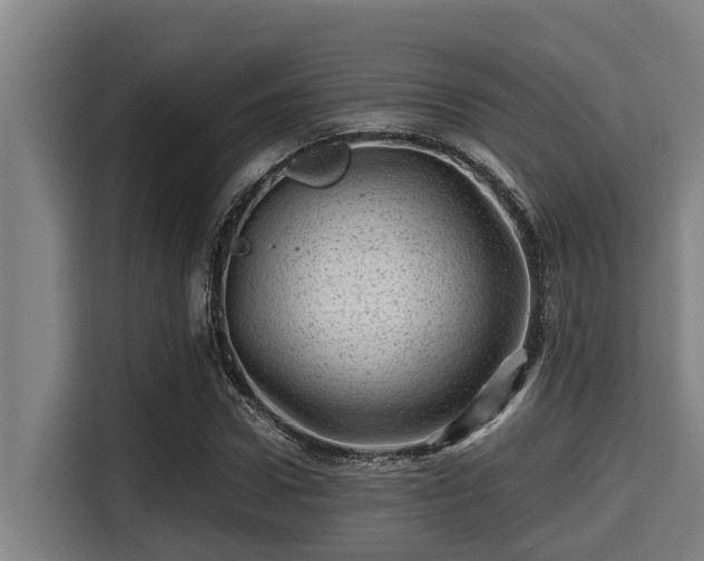 X0000115370922200911101243