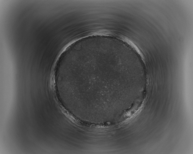 X0000115370923200911101243