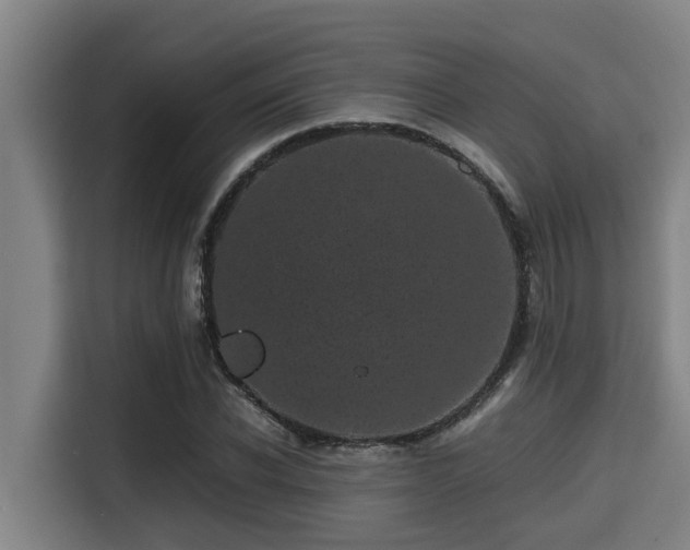 X0000115370926200911101243