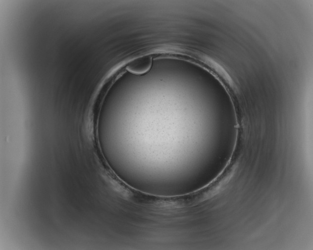 X0000115370931200911101243