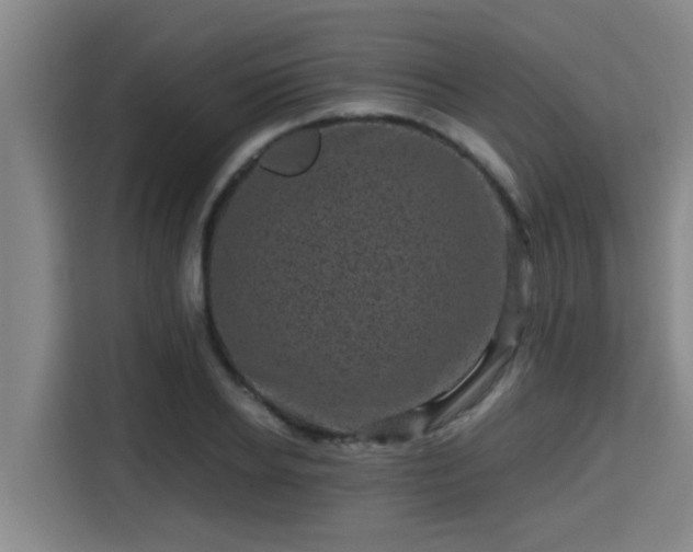 X0000115370934200911101243