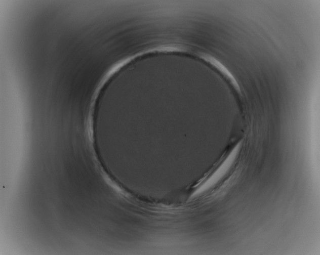 X0000115370935200911101243