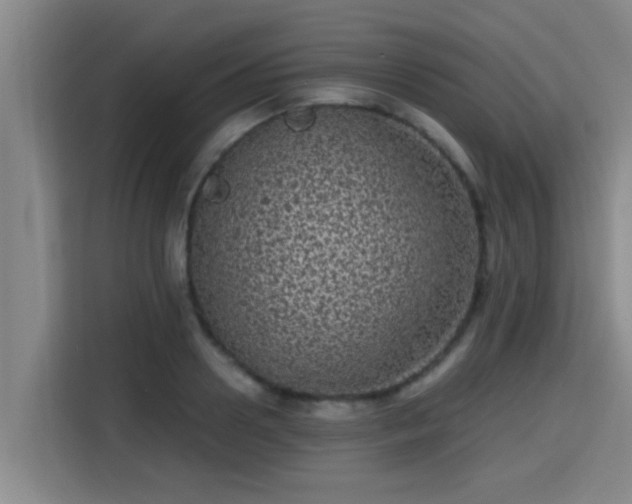 X0000115370938200911101243